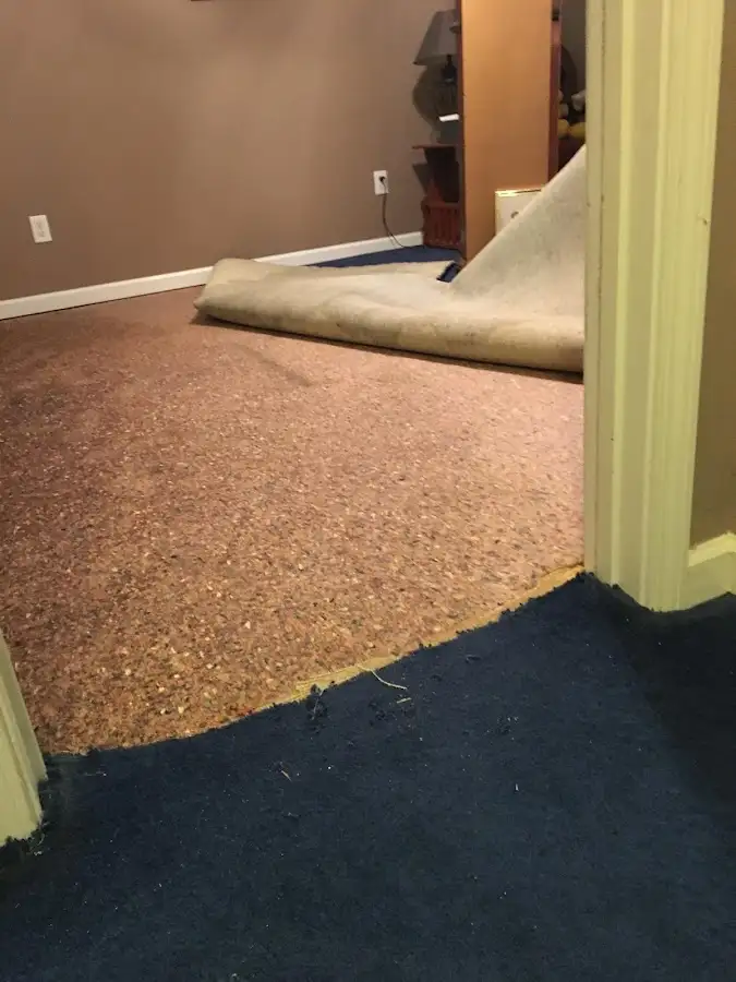 Carpet pad removal revealing water damage during Water Mitigation Services in Rensselaer
